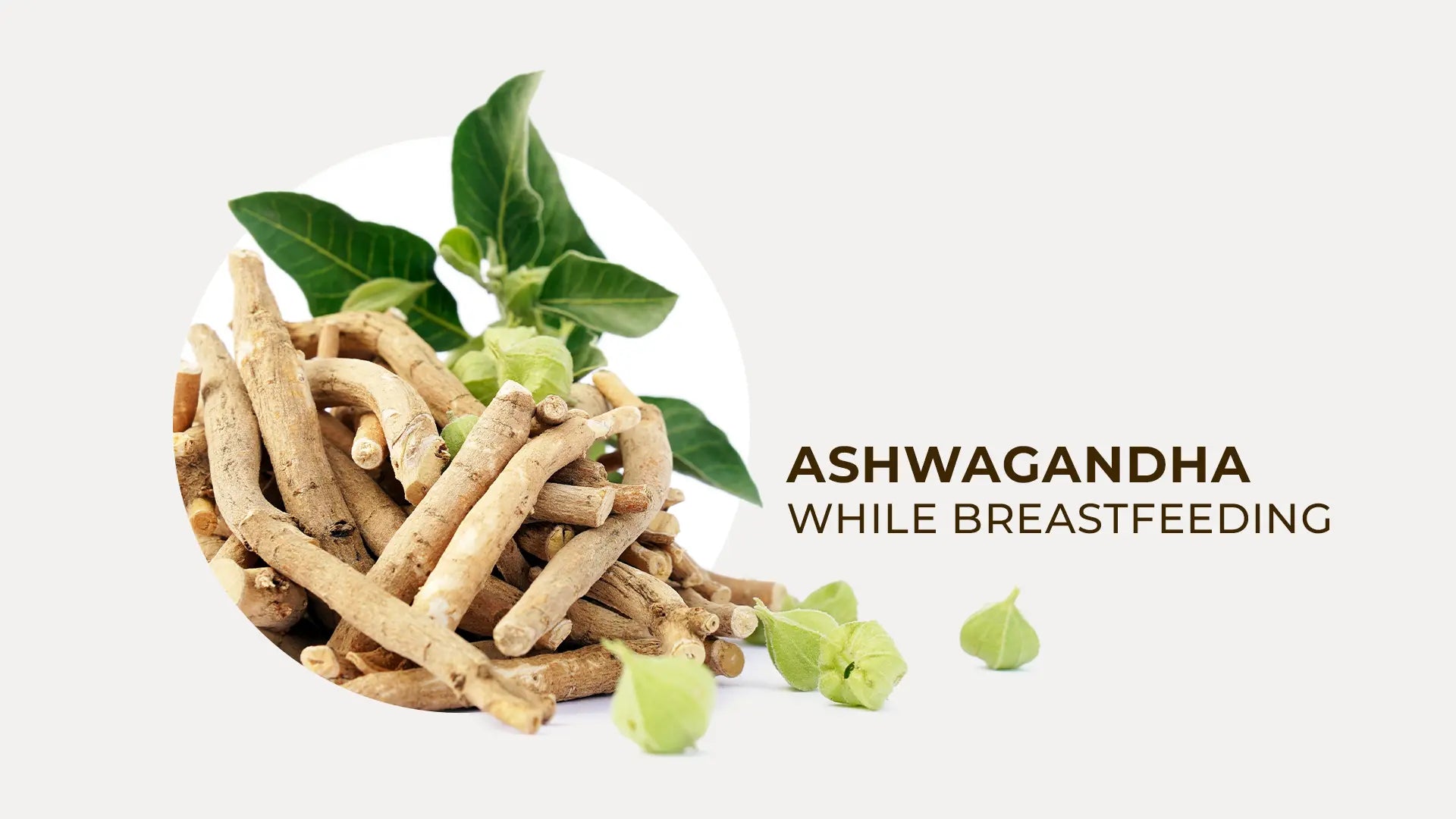 Ashwagandha While Breastfeeding - gardenix