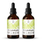 Cryptolepis Tincture gardenixx Vitamins & Supplements gardenixx Alcohol-FREE-2X4-OZ