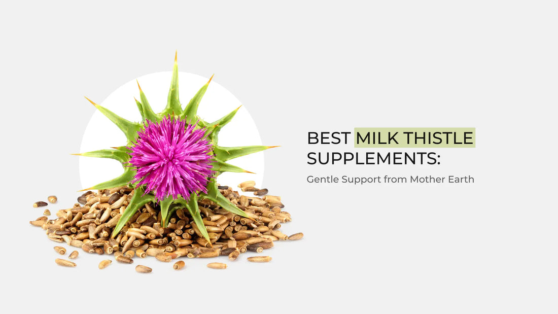 Best Milk Thistle Supplements: Gentle Support from Mother Earth -  Garden Organics