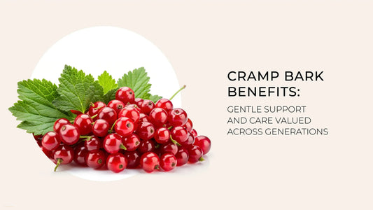 Cramp Bark Benefits: Gentle Support and Care Valued Across Generations 