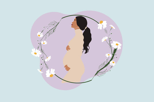 Chamomile During Pregnancy