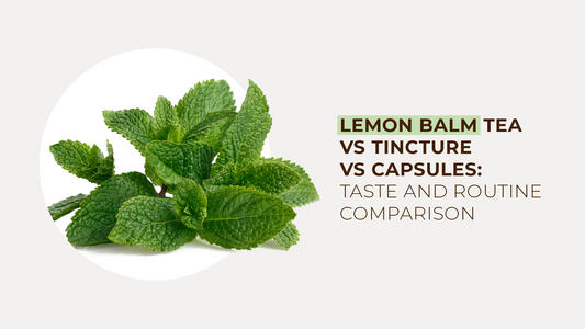 Lemon Balm Tea vs Tincture vs Capsules