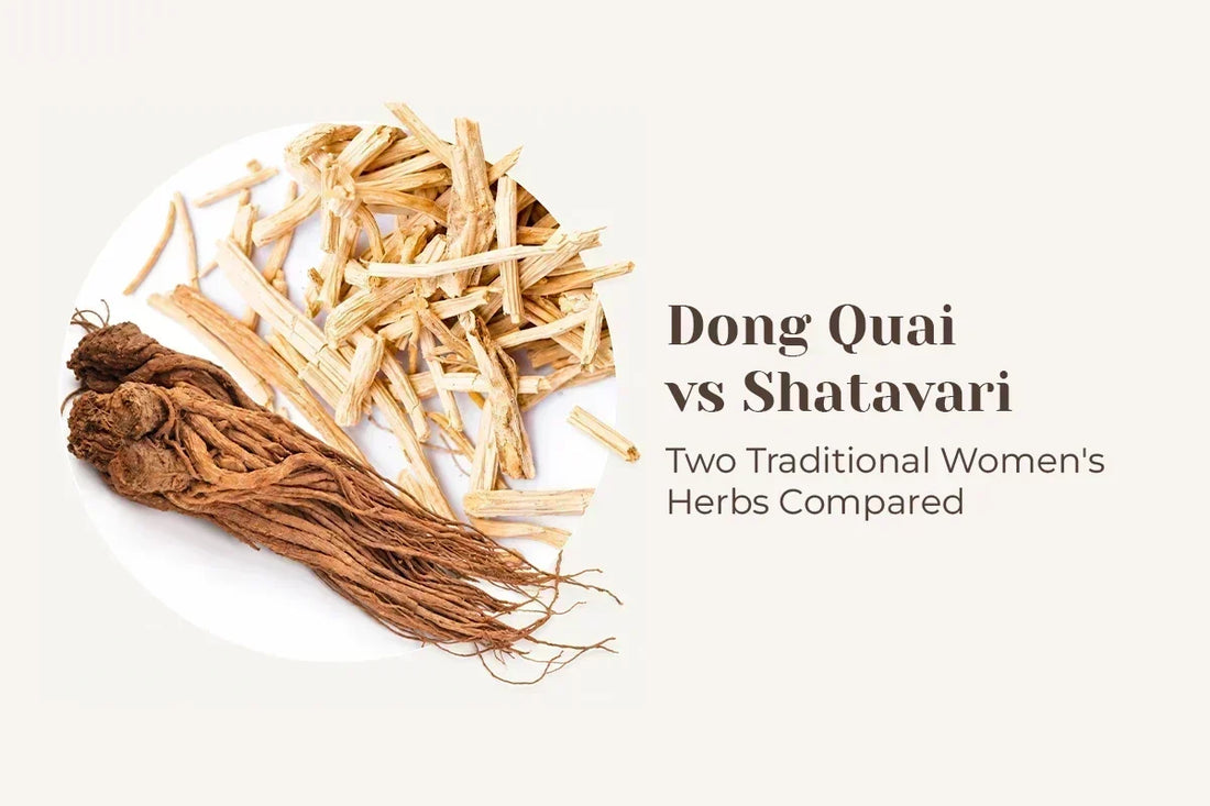 Dong Quai vs Shatavari: Two Traditional Women's Herbs Compared