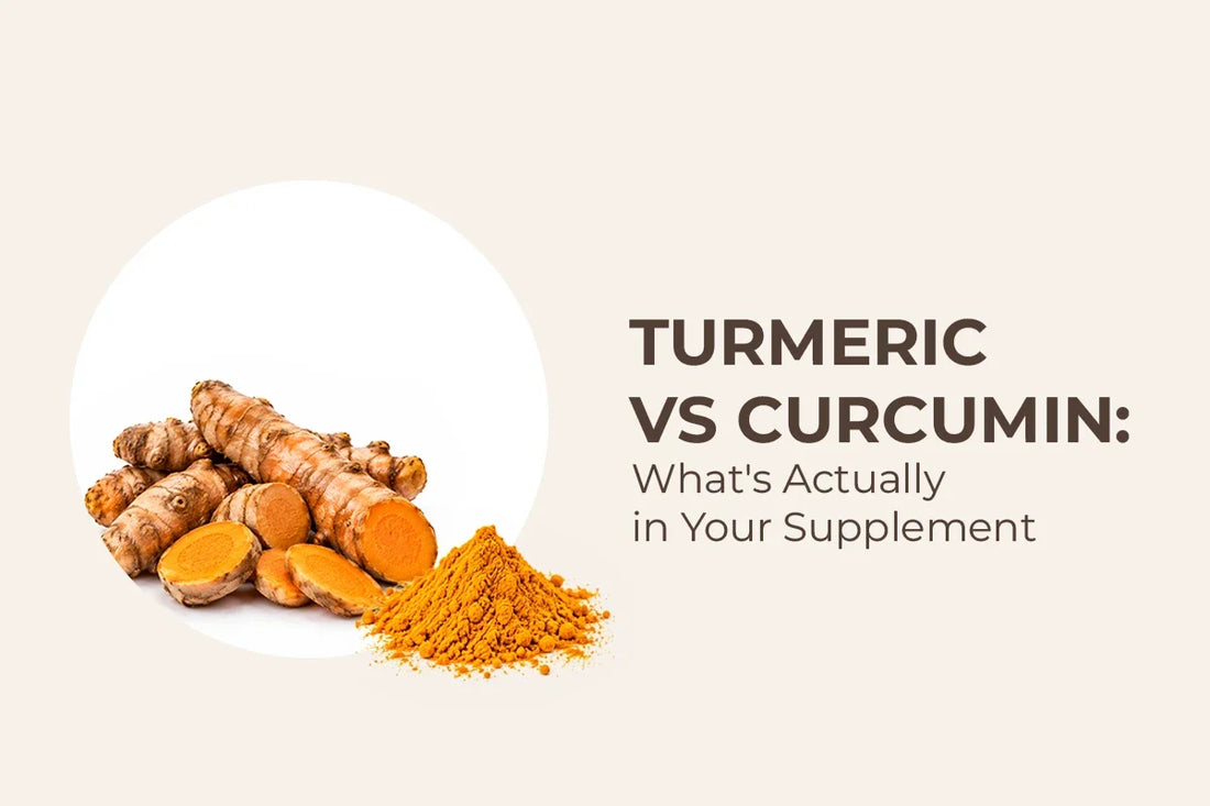 Turmeric vs Curcumin