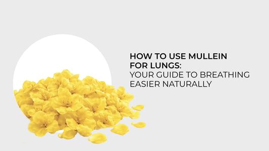 How to Use Mullein for Lungs: Your Guide to Breathing Easier Naturally -  Garden Organics