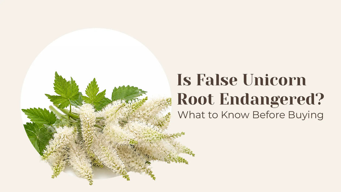 Is False Unicorn Root Endangered?