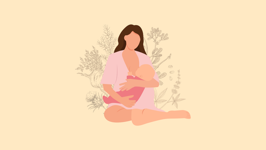 herbs for lactation support