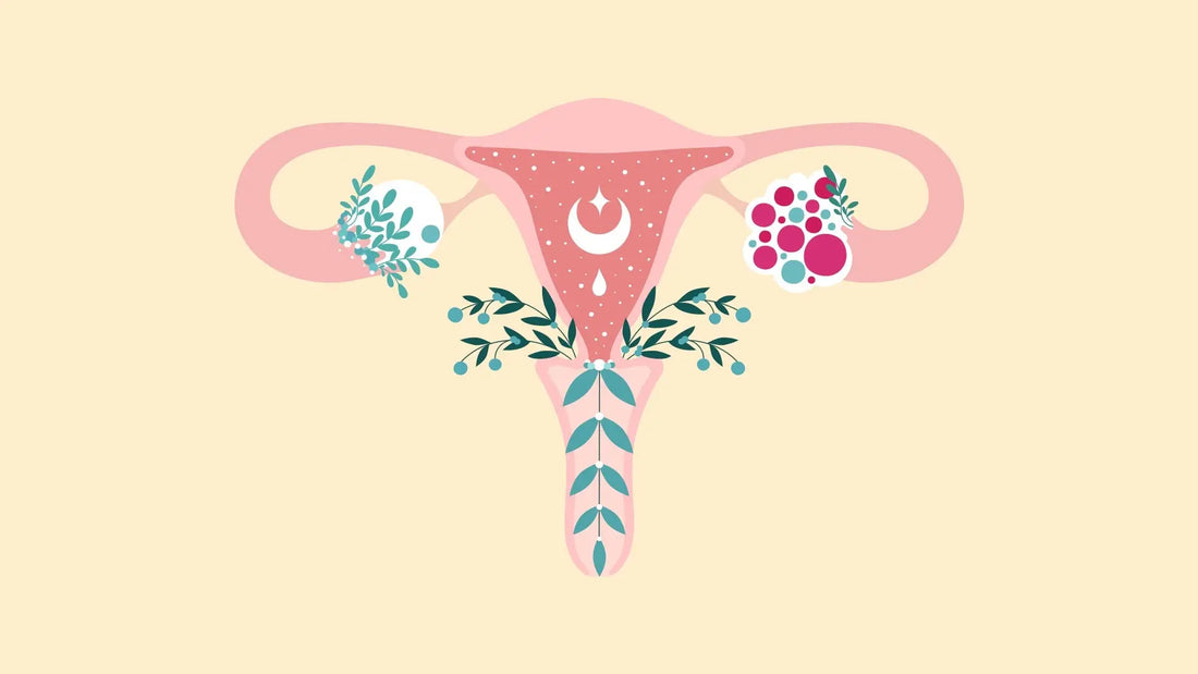Powerful-Herbs-for-PCOS-Turmeric-Maca-and-Licorice gardenixx