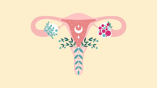 Powerful-Herbs-for-PCOS-Turmeric-Maca-and-Licorice gardenixx