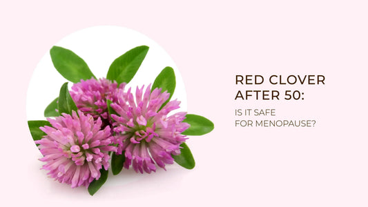 Red Clover After 50: Is It Safe for Menopause? - Garden Organics