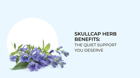 Skullcap Herb Benefits
