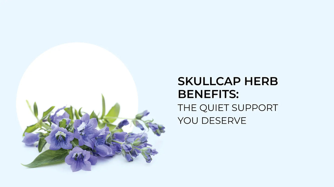 Skullcap Herb Benefits: The Quiet Support You Deserve -  Garden Organics
