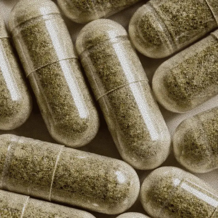 Capsules gardenixx