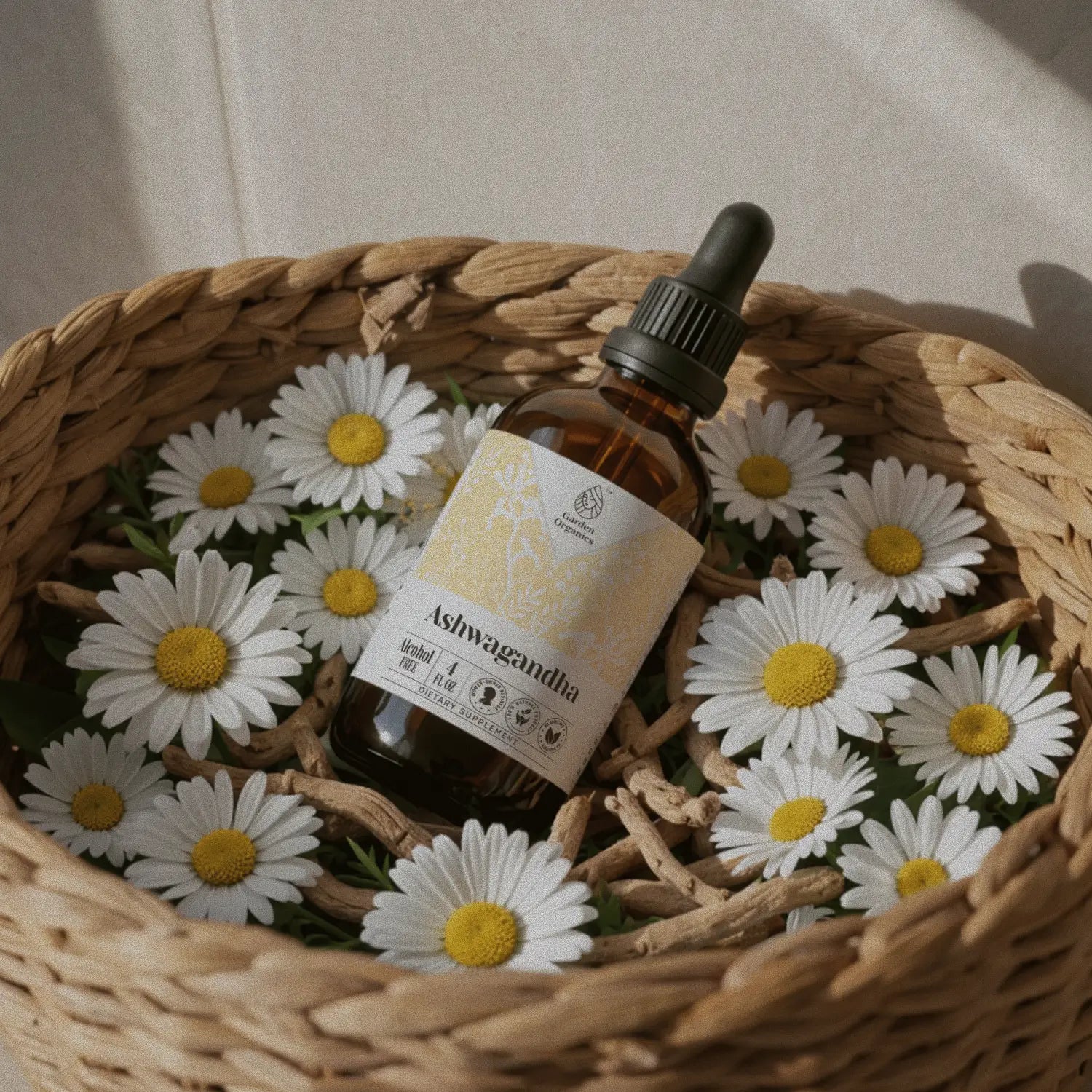 Mood-Balance-Energy-Collection-Herbs-for-Calm-Vitality-Uplifted-Spirit-Grounded-Support -  Garden Organics
