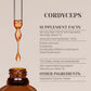 Buy Cordyceps Tincture Online - Garden Organics