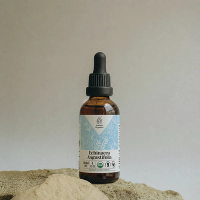 Echinacea Angustifolia Tincture