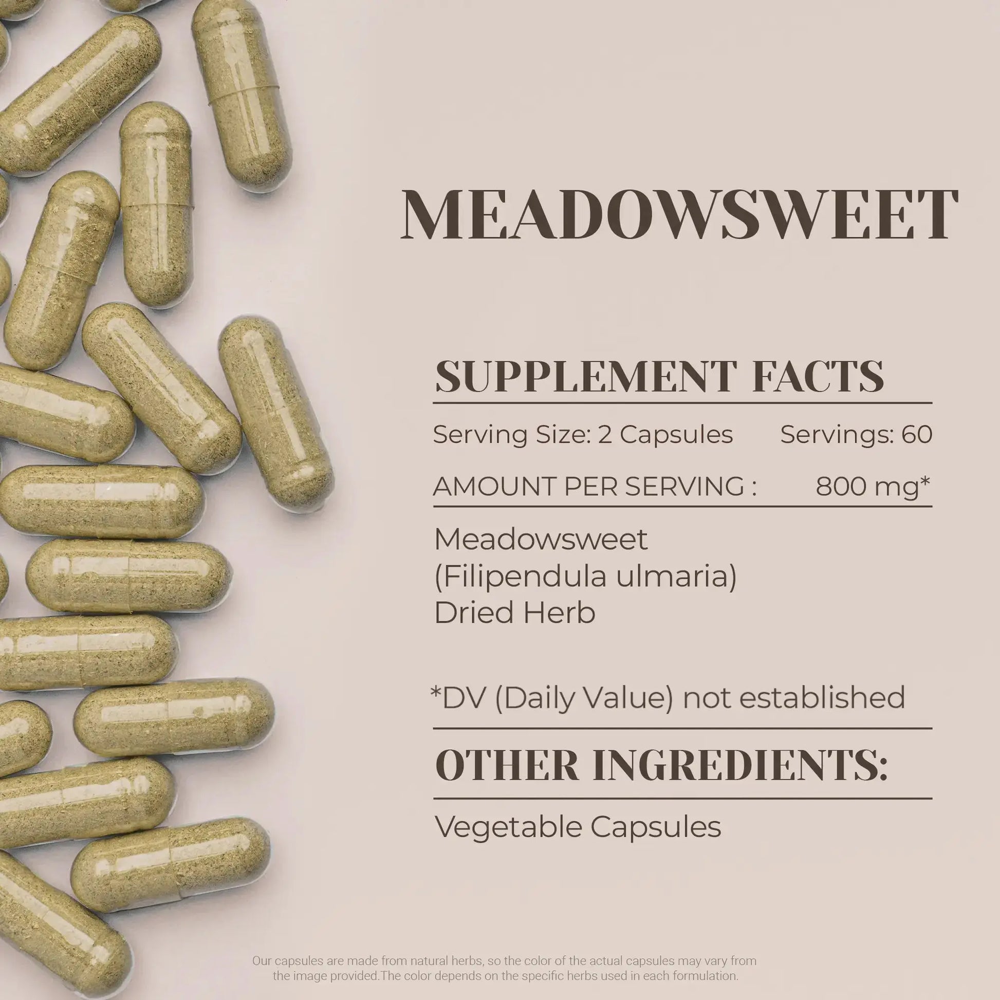 Buy Meadowsweet Capsules online - Garden Organics