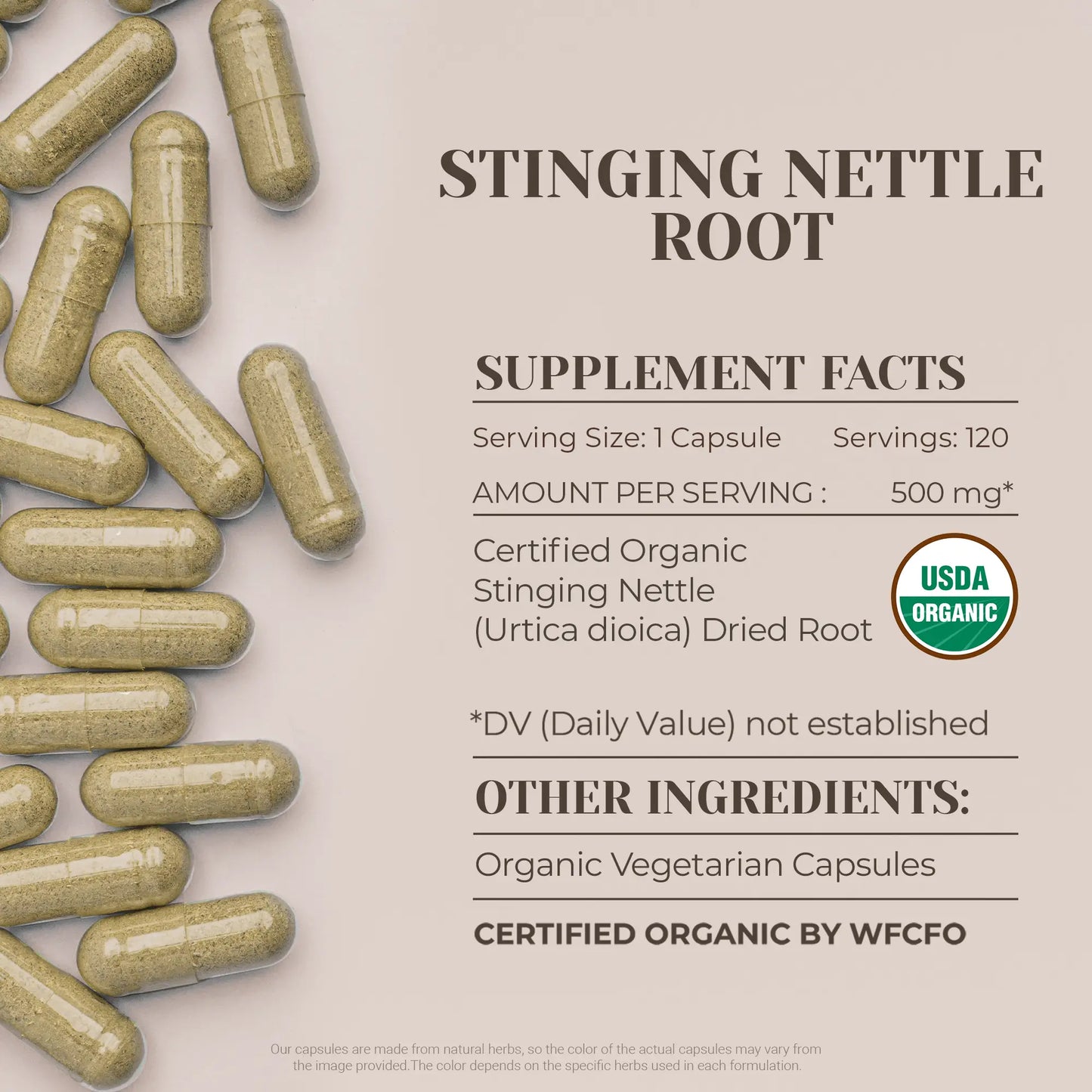 Buy Stinging Nettle Root Capsules online - Garden Organics