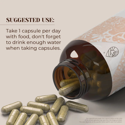 Buy Stinging Nettle Root Capsules online - Garden Organics