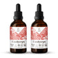 Cordyceps Tincture gardenixx Vitamins & Supplements gardenixx Alcohol-FREE-2X4-OZ
