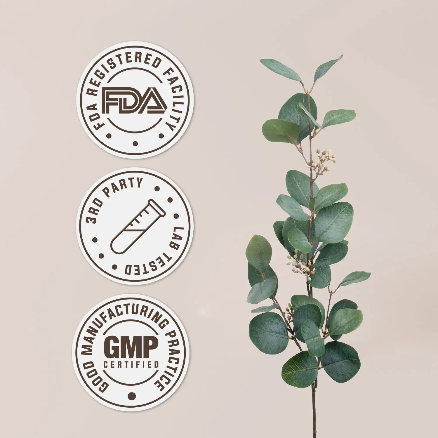 False Unicorn Tincture gardenixx Vitamins & Supplements gardenixx
