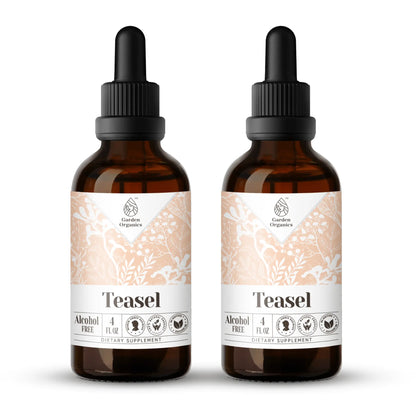 Buy Teasel Tincture online - Garden Organics