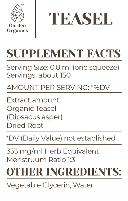 Buy Teasel Tincture online - Garden Organics